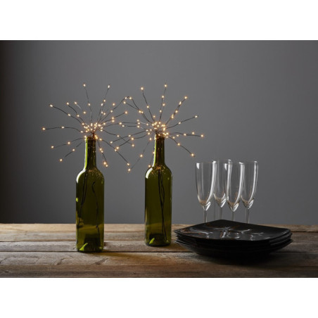 Lot de 2 éoiles pour bouteilles 60led